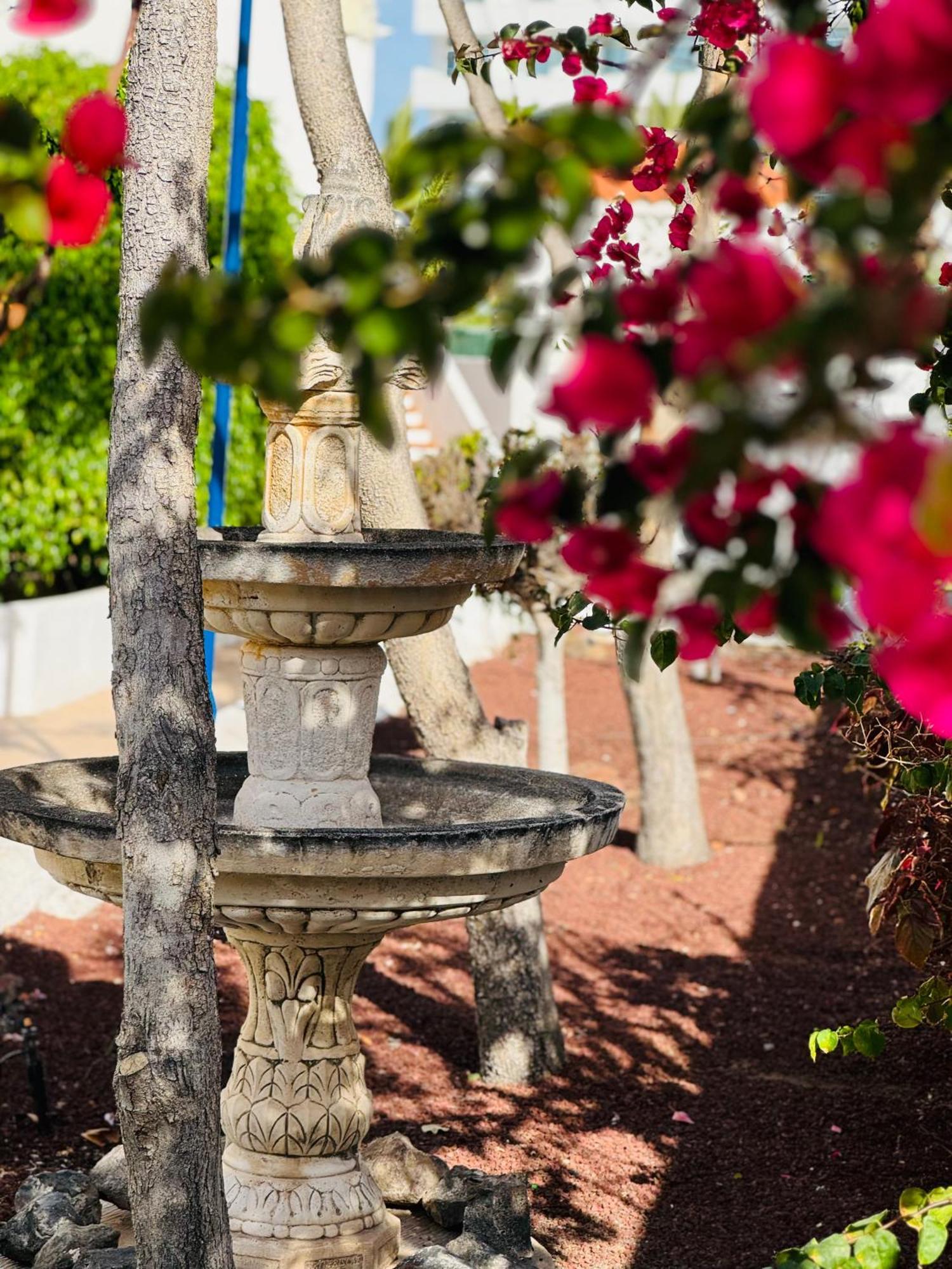 Garden City Private Apartment Costa Adeje Playa Feñabe エクステリア 写真